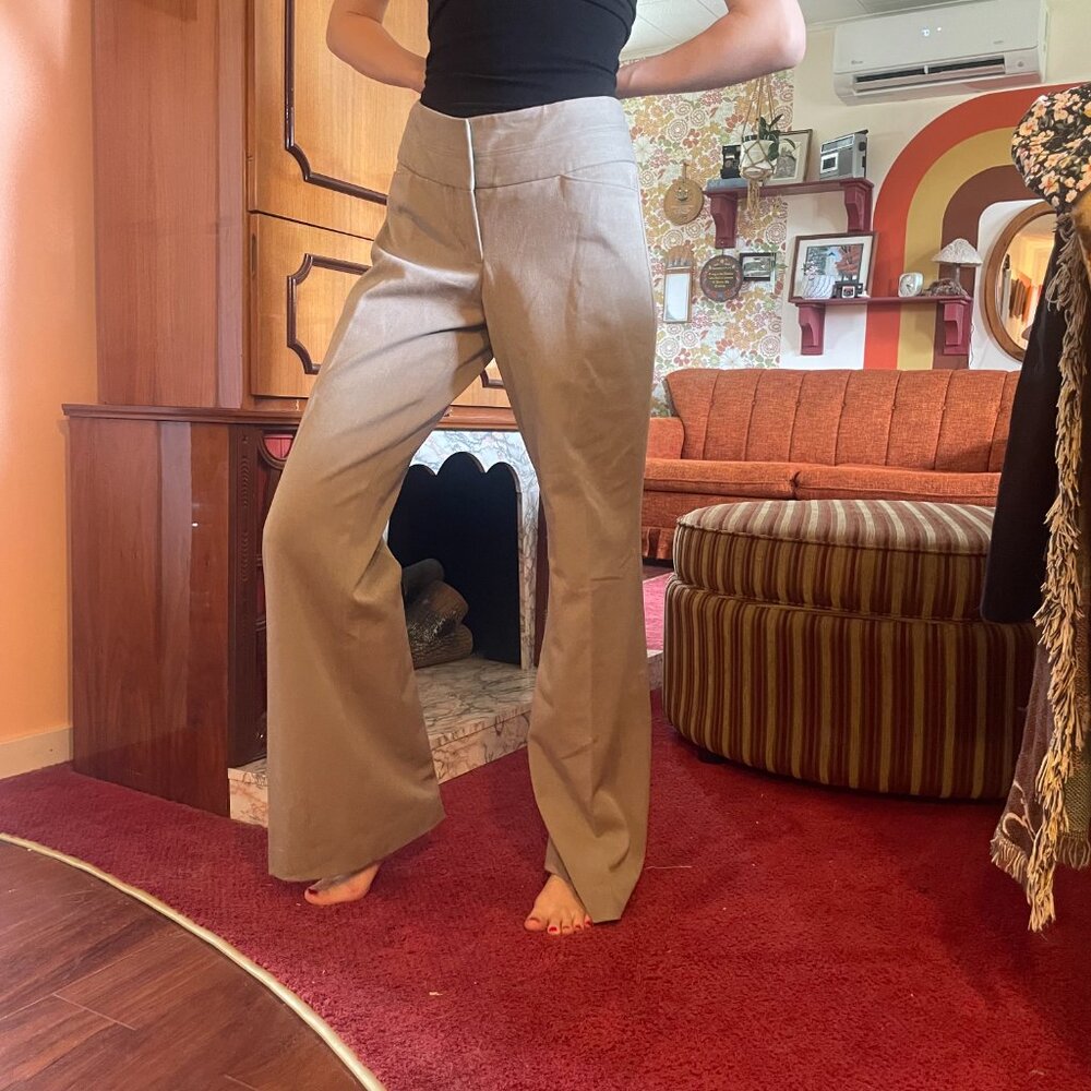 Express Y2K low rise wide leg pleated formal pants!